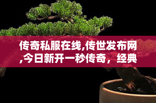 传奇私服在线,传世发布网,今日新开一秒传奇，经典重现，热血传奇再启