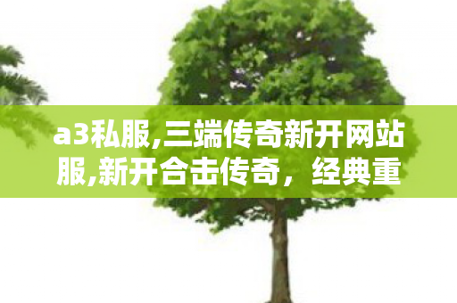 a3私服,三端传奇新开网站服,新开合击传奇，经典重现，热血传奇之旅