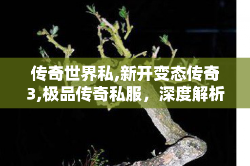传奇世界私,新开变态传奇3,极品传奇私服，深度解析、全面指南