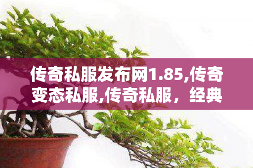 传奇私服发布网1.85,传奇变态私服,传奇私服，经典重现，玩家心中的不灭传奇