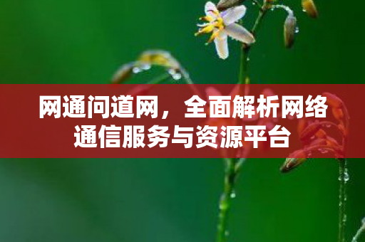 网通问道网，全面解析网络通信服务与资源平台