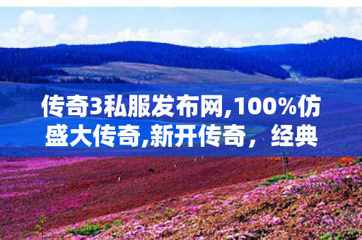 传奇3私服发布网,100%仿盛大传奇,新开传奇，经典再现，热血重燃的传奇之旅