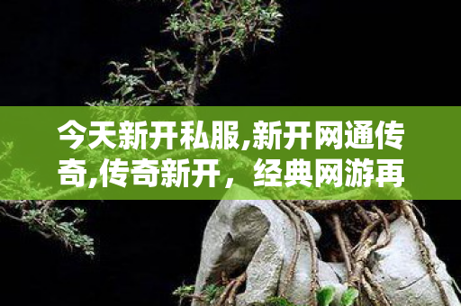 今天新开私服,新开网通传奇,传奇新开，经典网游再燃热血传奇之旅