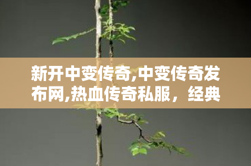 新开中变传奇,中变传奇发布网,热血传奇私服，经典网游的魅力再现
