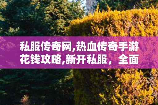 私服传奇网,热血传奇手游花钱攻略,新开私服，全面解析与详细指南