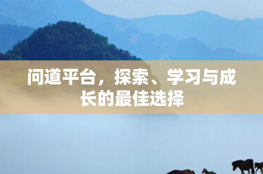 问道平台，探索、学习与成长的最佳选择