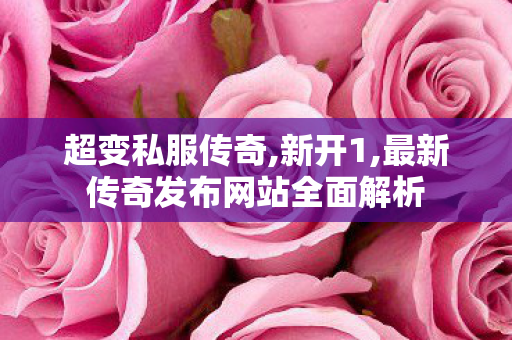 超变私服传奇,新开1,最新传奇发布网站全面解析