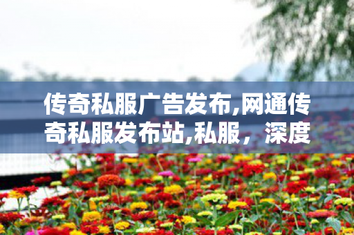 传奇私服广告发布,网通传奇私服发布站,私服，深度解析与全面了解