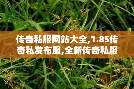 传奇私服网站大全,1.85传奇私发布服,全新传奇私服发布网——全面解析与攻略
