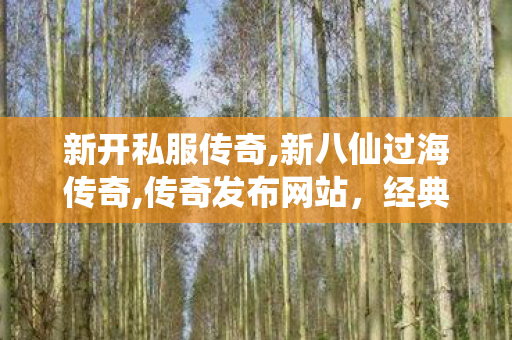 新开私服传奇,新八仙过海传奇,传奇发布网站，经典游戏重现，玩家首选平台