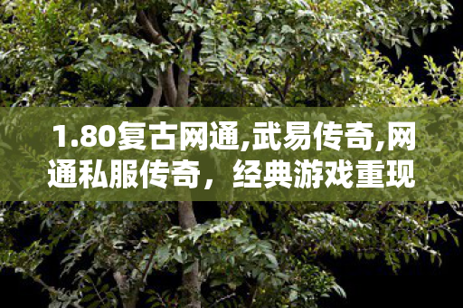 1.80复古网通,武易传奇,网通私服传奇，经典游戏重现，重温热血战斗岁月