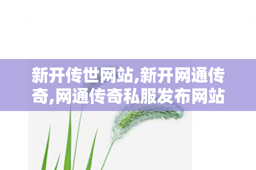 新开传世网站,新开网通传奇,网通传奇私服发布网站，全面解析与合规建议