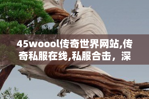 45woool传奇世界网站,传奇私服在线,私服合击，深度解析与全面指南