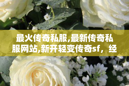 最火传奇私服,最新传奇私服网站,新开轻变传奇sf，经典重温，传奇再启