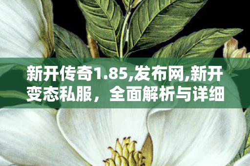 新开传奇1.85,发布网,新开变态私服，全面解析与详细介绍