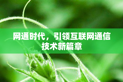 网通时代，引领互联网通信技术新篇章