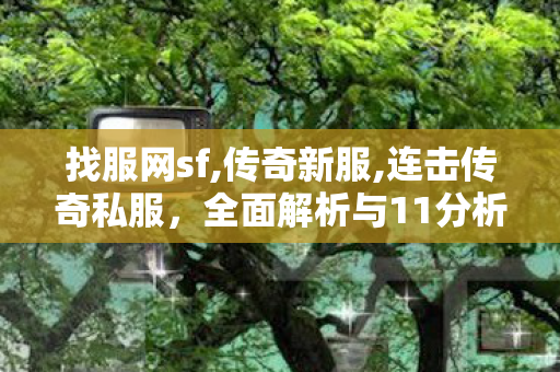 找服网sf,传奇新服,连击传奇私服，全面解析与11分析