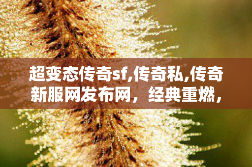 超变态传奇sf,传奇私,传奇新服网发布网，经典重燃，热血传奇再启航