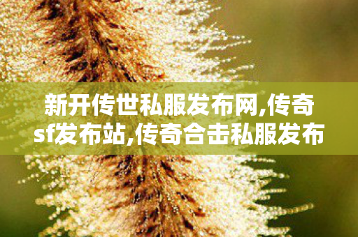 新开传世私服发布网,传奇sf发布站,传奇合击私服发布网站，游戏体验与11分析