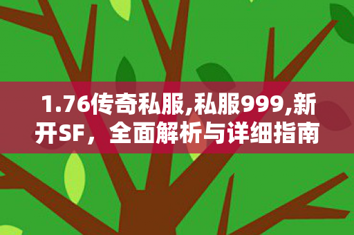 1.76传奇私服,私服999,新开SF，全面解析与详细指南