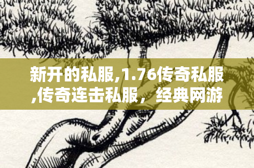 新开的私服,1.76传奇私服,传奇连击私服，经典网游的魅力再现与深度解析