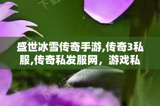 盛世冰雪传奇手游,传奇3私服,传奇私发服网，游戏私服的1与1责任