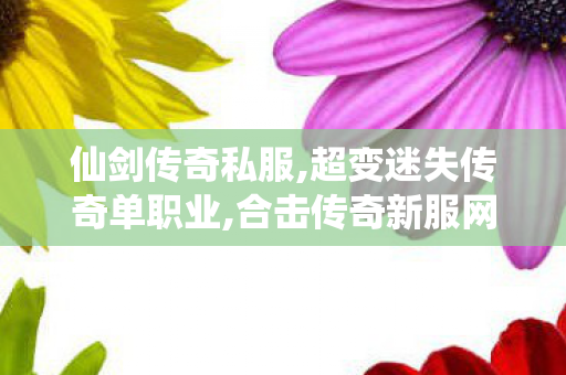 仙剑传奇私服,超变迷失传奇单职业,合击传奇新服网，经典重现，热血传奇之旅