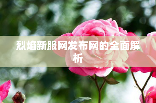 烈焰新服网发布网的全面解析