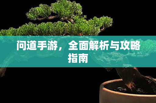 问道手游，全面解析与攻略指南