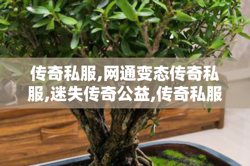 传奇私服,网通变态传奇私服,迷失传奇公益,传奇私服发布网1.76，经典再现，重温传奇岁月