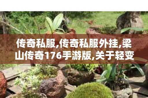 传奇私服,传奇私服外挂,梁山传奇176手游版,关于轻变传奇私服发布网的全面解析