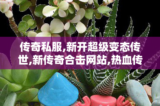 传奇私服,新开超级变态传世,新传奇合击网站,热血传奇sf，经典网游的传奇之旅
