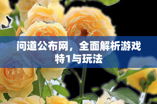 问道公布网，全面解析游戏特1与玩法