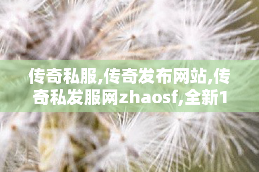 传奇私服,传奇发布网站,传奇私发服网zhaosf,全新1.85版本传奇私服开启，重温经典游戏体验