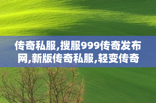 传奇私服,搜服999传奇发布网,新版传奇私服,轻变传奇sf，经典游戏体验的全新篇章