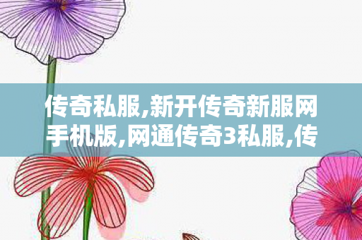 传奇私服,新开传奇新服网手机版,网通传奇3私服,传奇私服发布网1.76