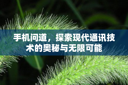 手机问道，探索现代通讯技术的奥秘与无限可能