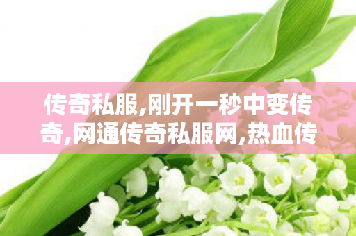 传奇私服,刚开一秒中变传奇,网通传奇私服网,热血传奇sf,网通传奇私服网