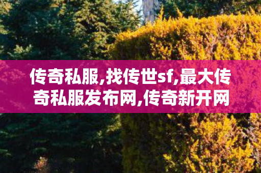 传奇私服,找传世sf,最大传奇私服发布网,传奇新开网站,最大传奇私服发布网