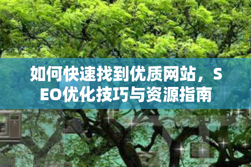 如何快速找到优质网站，SEO优化技巧与资源指南