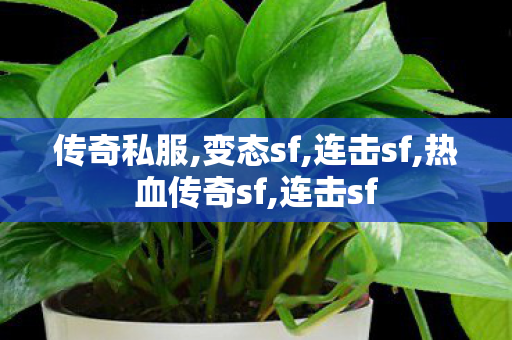 传奇私服,变态sf,连击sf,热血传奇sf,连击sf