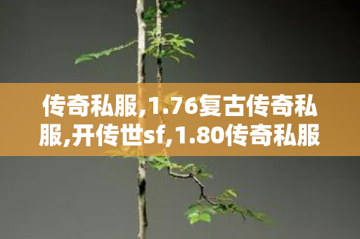 传奇私服,1.76复古传奇私服,开传世sf,1.80传奇私服,开传世sf