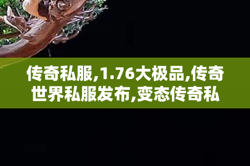 传奇私服,1.76大极品,传奇世界私服发布,变态传奇私服发布网,传奇世界私服发布