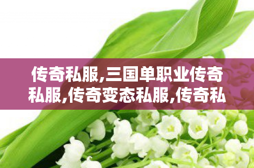 传奇私服,三国单职业传奇私服,传奇变态私服,传奇私服发布网1.85,传奇变态私服