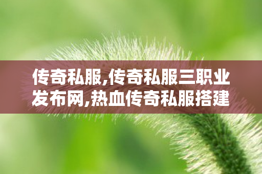 传奇私服,传奇私服三职业发布网,热血传奇私服搭建,1.76传奇sf,热血传奇私服搭建