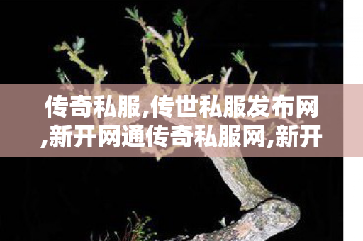 传奇私服,传世私服发布网,新开网通传奇私服网,新开传奇sf发布,新开网通传奇私服网