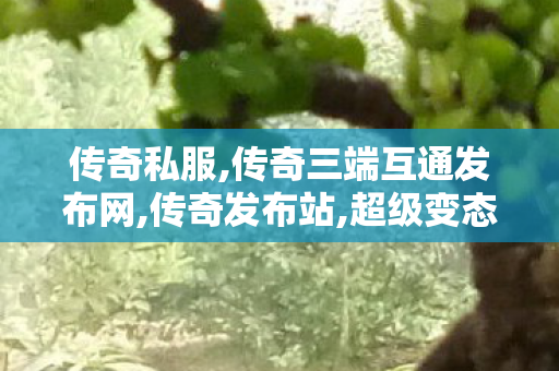 传奇私服,传奇三端互通发布网,传奇发布站,超级变态传奇私服网,传奇发布站