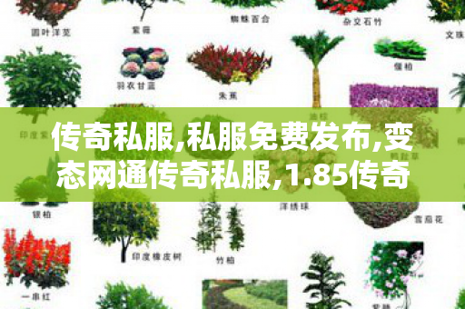 传奇私服,私服免费发布,变态网通传奇私服,1.85传奇sf,变态网通传奇私服