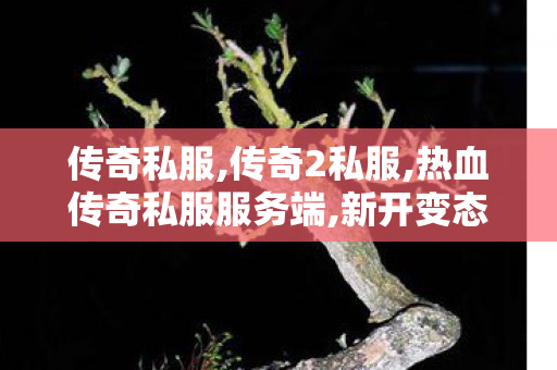 传奇私服,传奇2私服,热血传奇私服服务端,新开变态传奇发布,热血传奇私服服务端