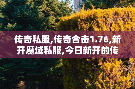 传奇私服,传奇合击1.76,新开魔域私服,今日新开的传奇私服,新开魔域私服